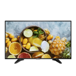 Monitor LED Full HD de 43" / Ideal para Videovigilancia / Uso 24-7 / Entrada HDMI-VGA / Compatible con Montaje VESA - TiendaClic.mx